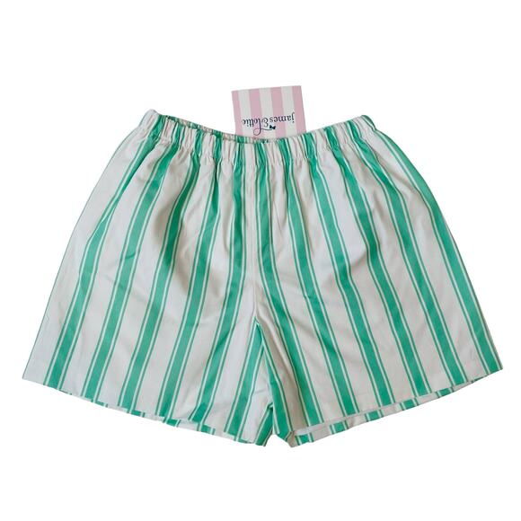 James & Lottie Size 7 Mint Stripe Conrad Shorts - Picture 1 of 4